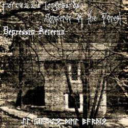 Depressio Aeterna : Il Pianto del Bardo Depressio Aeterna : Il Pianto del Bardo